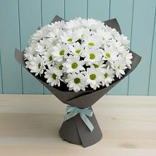 Букет цветов из:  Хризантемы #REPLACE_PRED# Свободе